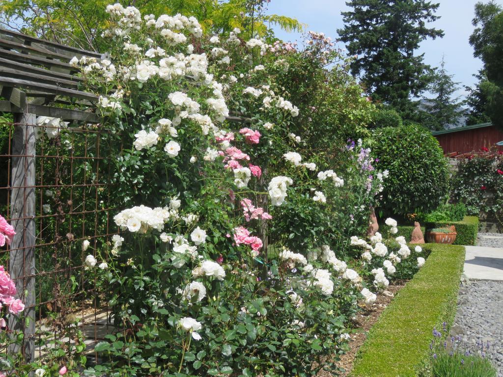 Marchmont Gardens Bed & Breakfast Hanmer Springs Exterior foto
