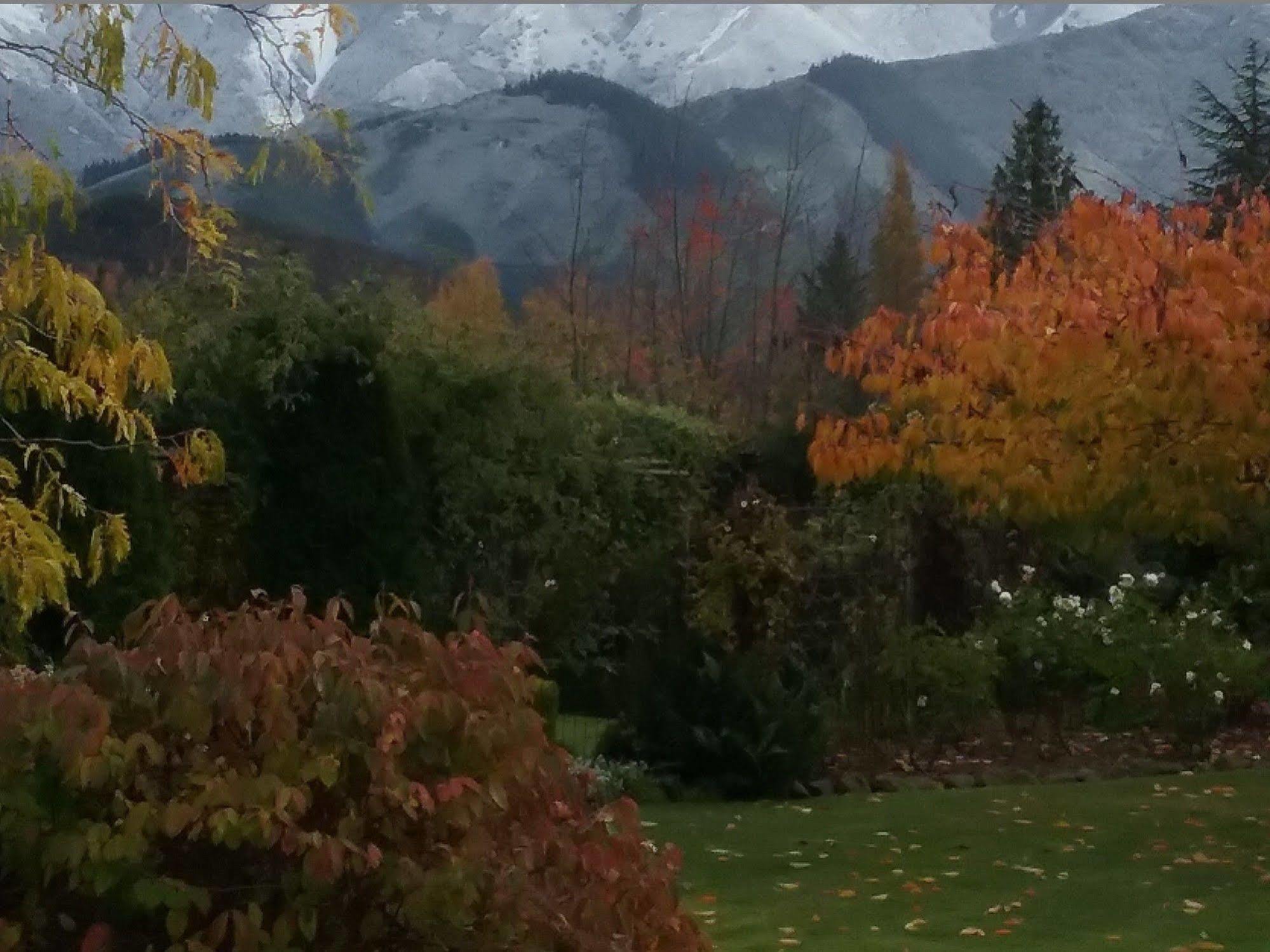 Marchmont Gardens Bed & Breakfast Hanmer Springs Exterior foto