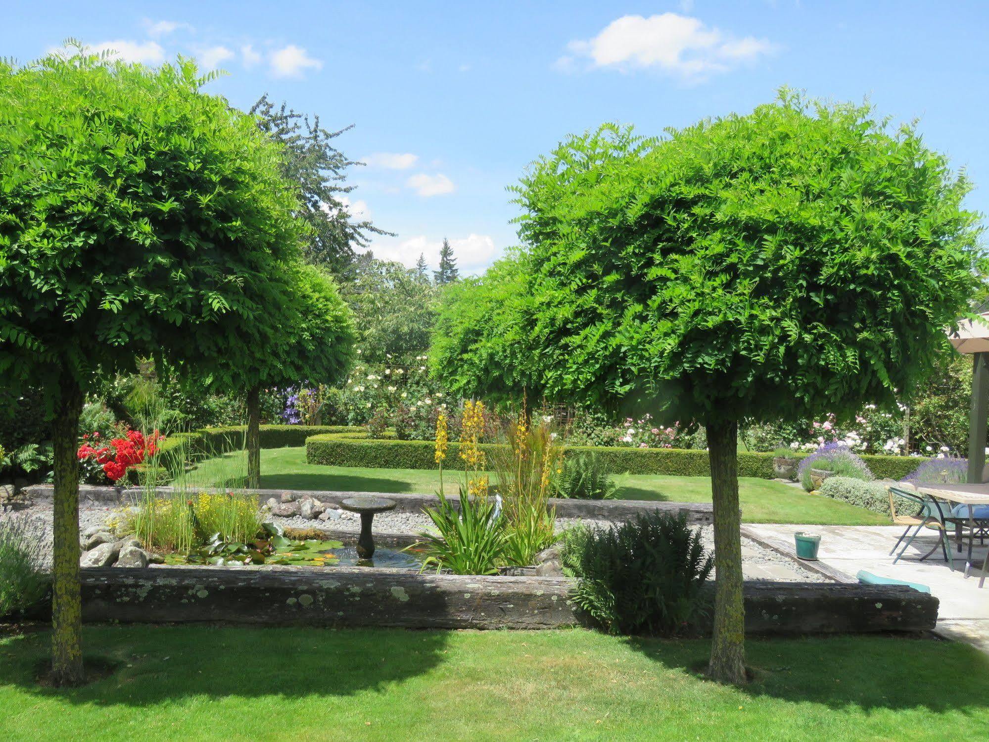 Marchmont Gardens Bed & Breakfast Hanmer Springs Exterior foto